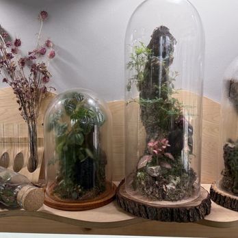 Jungle Box Studio - Part of Ryan's collection. - Art Classes Near Me - Los Angeles, California