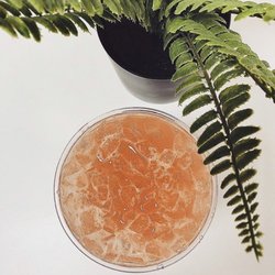 Downtown Nutrition - Peach tea
