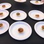 Sabor Latino Beer, Wine and Food Festival
