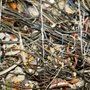 Photo of Electronic Recyclers International