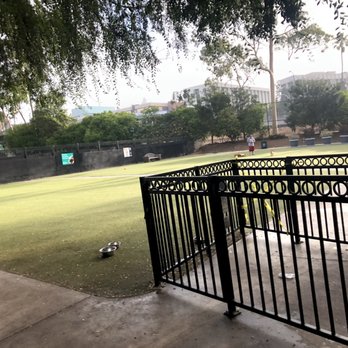 Amicibar - Dog park at back of coffee bar - Coffee & Tea Near Me - San Diego, California Amicibar - Dog park at back of coffee bar - Coffee & Tea Near Me - San Diego, California