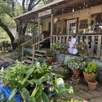 Lavender Ridge Farms - Farm Store - Nurseries & Gardening Near Me - Gainesville, Texas Lavender Ridge Farms - Farm Store - Nurseries & Gardening Near Me - Gainesville, Texas