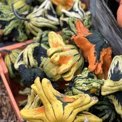 Newcastle Fruit & Produce - Gords