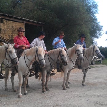 Manade des chamoines - Tours Near Me - Arles, 13