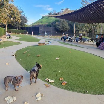 Bluff Creek Dog Park - Dog Parks Near Me - Playa Vista, California Bluff Creek Dog Park - Dog Parks Near Me - Playa Vista, California