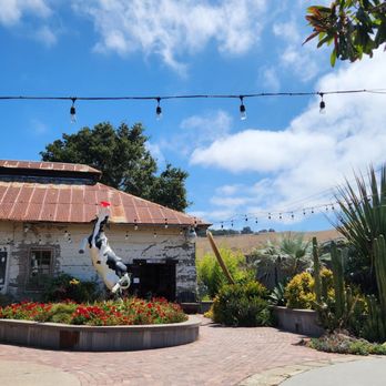 Morii Coffee - Exterior - Coffee & Tea Near Me - Harmony, California Morii Coffee - Exterior - Coffee & Tea Near Me - Harmony, California