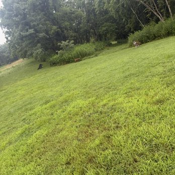 Shrewsbury LawnCare - Yard mow - Lawn Services Near Me - Forest Hill, West Virginia Shrewsbury LawnCare - Yard mow - Lawn Services Near Me - Forest Hill, West Virginia