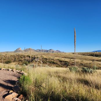 Rune Wines - Wineries Near Me - Sonoita, Arizona Rune Wines - Wineries Near Me - Sonoita, Arizona