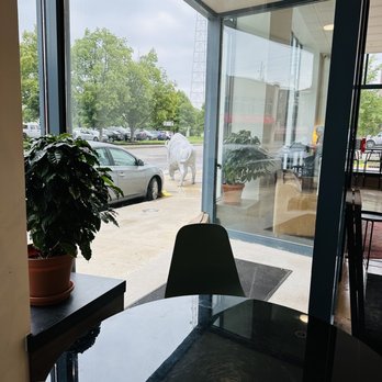 Quills Coffee - Coffee & Tea Near Me - Indianapolis, Indiana