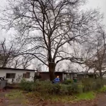 B&E H Tree services & Landscaping - Landscaping Near Me