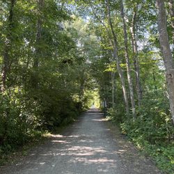 Danvers Rail Trail & Swampwalk - Trail start off of Topsfield Road parking lot