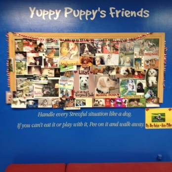 Yuppy Puppy - People love Yuppy Puppy so much they bring in photos for the staff. - Pet Groomers Near Me - Lake Bluff, Illinois Yuppy Puppy - People love Yuppy Puppy so much they bring in photos for the staff. - Pet Groomers Near Me - Lake Bluff, Illinois