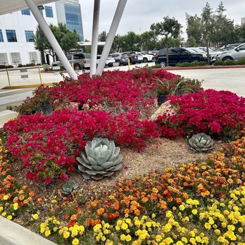 Commons Clinic - Beautiful landscaping - Physical Therapy Near Me - Long Beach, California Commons Clinic - Beautiful landscaping - Physical Therapy Near Me - Long Beach, California
