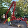 Photo of Paulo's Landscaping & Tree Removal