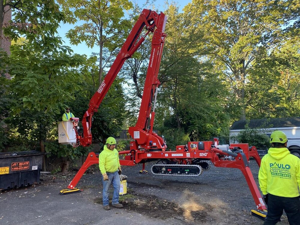 Paulo's Landscaping & Tree Removal - tree service in Orange, CT