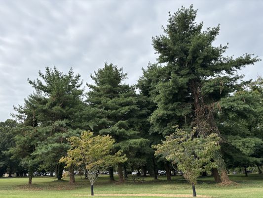 Adventures Unbound: Columbia Island Marina by null