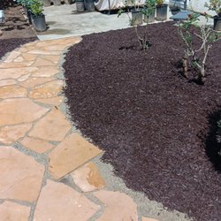 Javier’s Gardening - The finish project