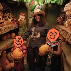 Operation Halloween - The pumpkin patch.