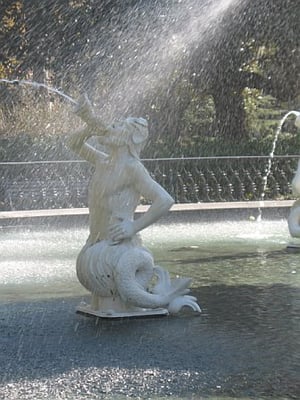 Forsyth Park by null