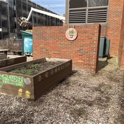Korfhage  Plant Garden