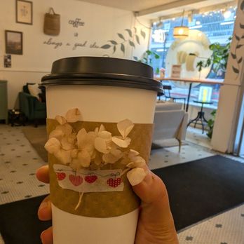 Bumble Bear Coffee - Ordered Solo and Sippin but didn't taste the rose - Coffee & Tea Near Me - Sacramento, California