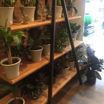 Furman's Coffee - Coffee & Tea Near Me - Brooklyn, New York