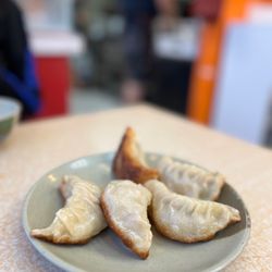 Pan fried dumplings
