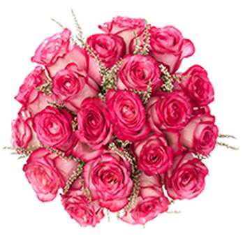 Wolf Mountain Arts - Florists Near Me - Harrisburg, Pennsylvania Wolf Mountain Arts - Florists Near Me - Harrisburg, Pennsylvania