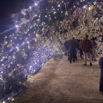 Harry P Leu Gardens - Ornament tunnel - Venues & Event Spaces Near Me - Orlando, Florida Harry P Leu Gardens - Ornament tunnel - Venues & Event Spaces Near Me - Orlando, Florida