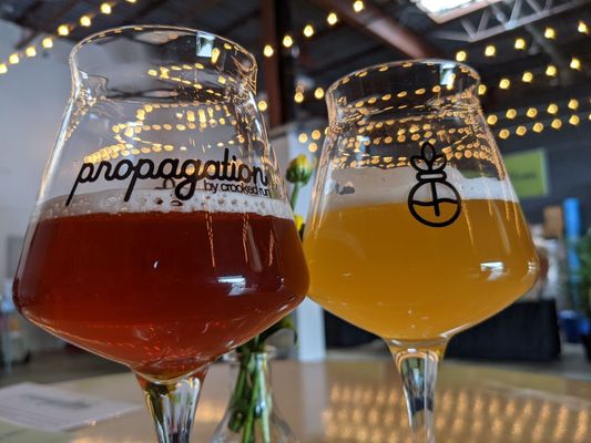 Crooked Run Fermentation by null