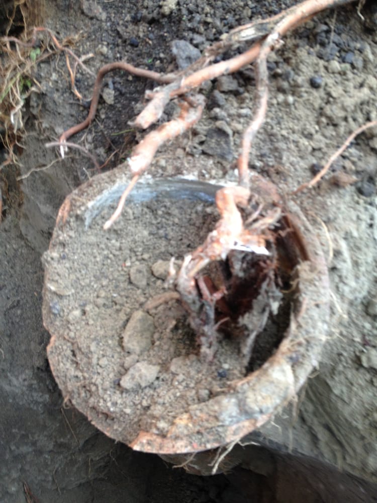 Slide of Ray's Excavation