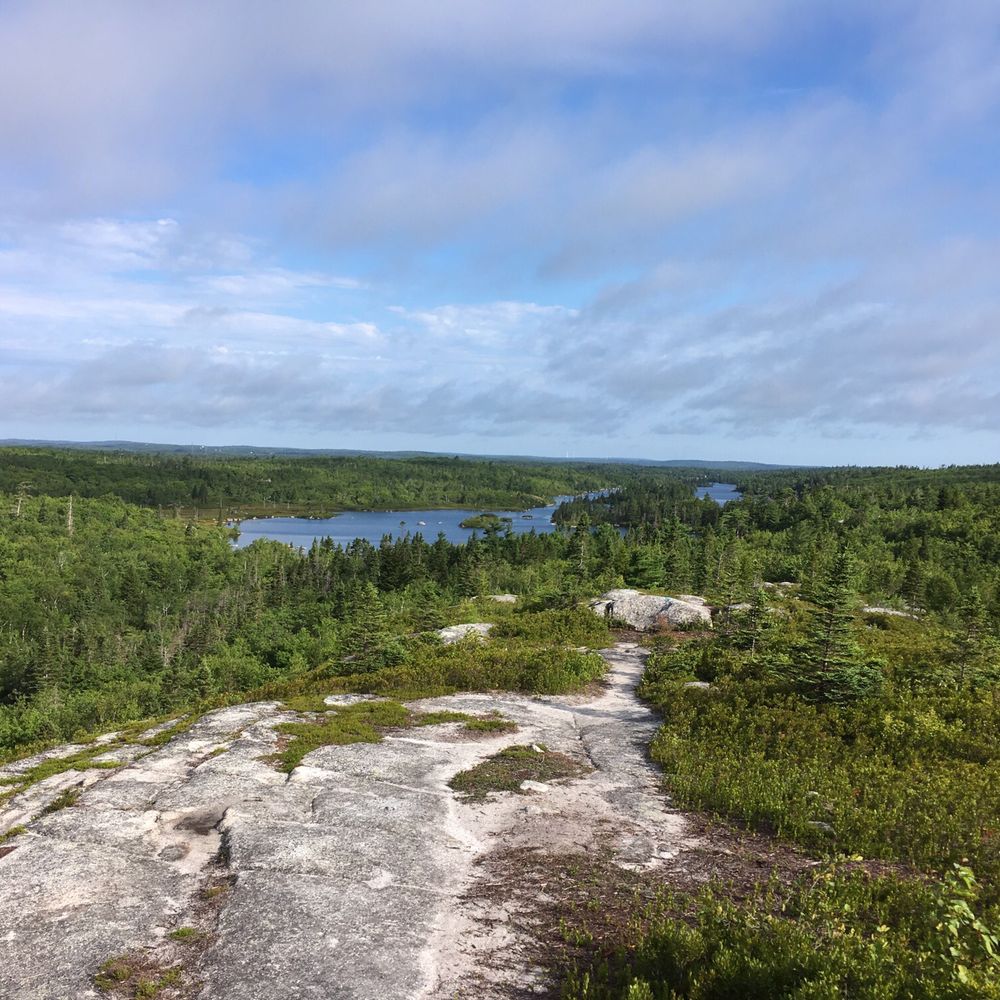Bluff Wilderness Hiking Trail - Hiking Near Me - Timberlea, Nova Scotia
