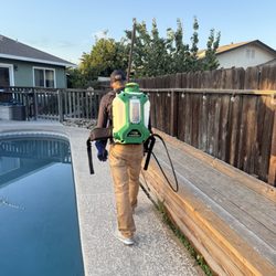 Project Pest Control
