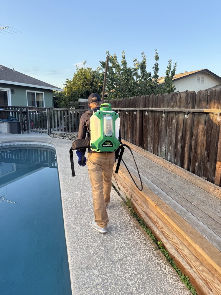 Pest Control Turlock
