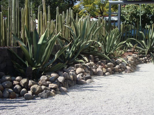 Museo Casa Estudio Diego Rivera y Frida Kahlo by null Museo Casa Estudio Diego Rivera y Frida Kahlo by null