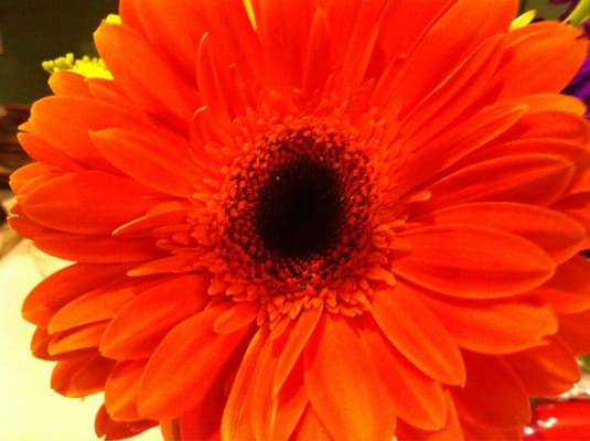 North Richland Hills Farmers Market by null