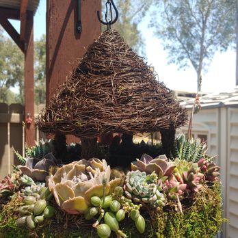 Garden Vibes - Nurseries & Gardening Near Me - Menifee, California