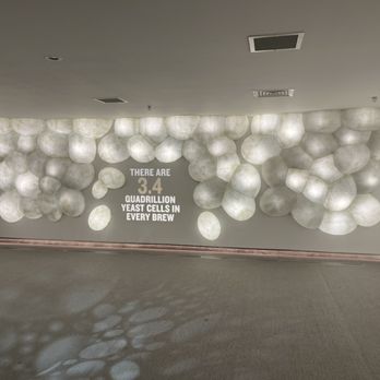 Guinness Storehouse - Yeast fact - Breweries Near Me - Dublin, D