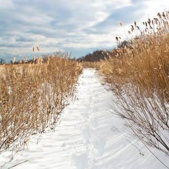 Marine Park - Marine Park Snowy Path Winter 2010 - Parks Near Me - Brooklyn, New York Marine Park - Marine Park Snowy Path Winter 2010 - Parks Near Me - Brooklyn, New York