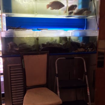 Sun Kong - I won't eat fish there. - Dim Sum Near Me - Malden, Massachusetts