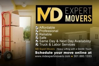 Md Expert Movers