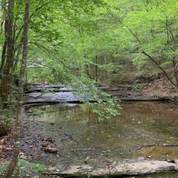 Beaman Park Nature Center - View of the creek near the rope pass.
