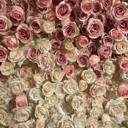 Interior (wall of roses) Interior (wall of roses)