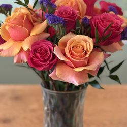 Petals and Plants
