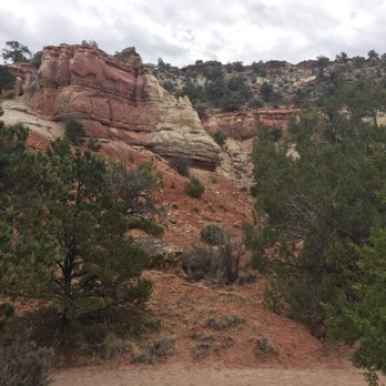 Escalante Petrified Forest State Park - Parks Near Me - Escalante, Utah