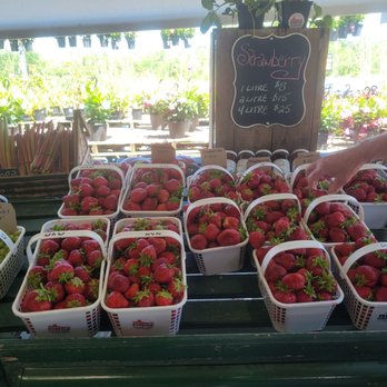 Millers' Farm And Market - Farmers Market Near Me - Ottawa, Ontario Millers' Farm And Market - Farmers Market Near Me - Ottawa, Ontario