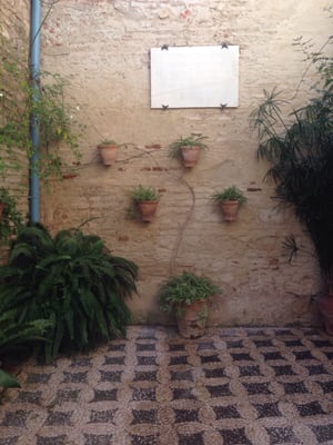 Córdoba Synagogue by null