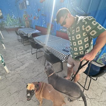 Eris Food - Dog friendly restaurant for the win! This is the outdoor patio area - Vegan Near Me - Oceanside, California Eris Food - Dog friendly restaurant for the win! This is the outdoor patio area - Vegan Near Me - Oceanside, California