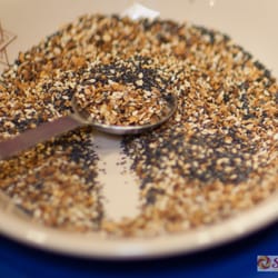 Tallahassee Jewish Food & Cultural Festival - Extra "everything" for your bagel?