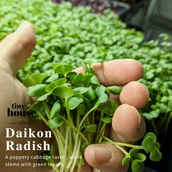 Tiny House Farms